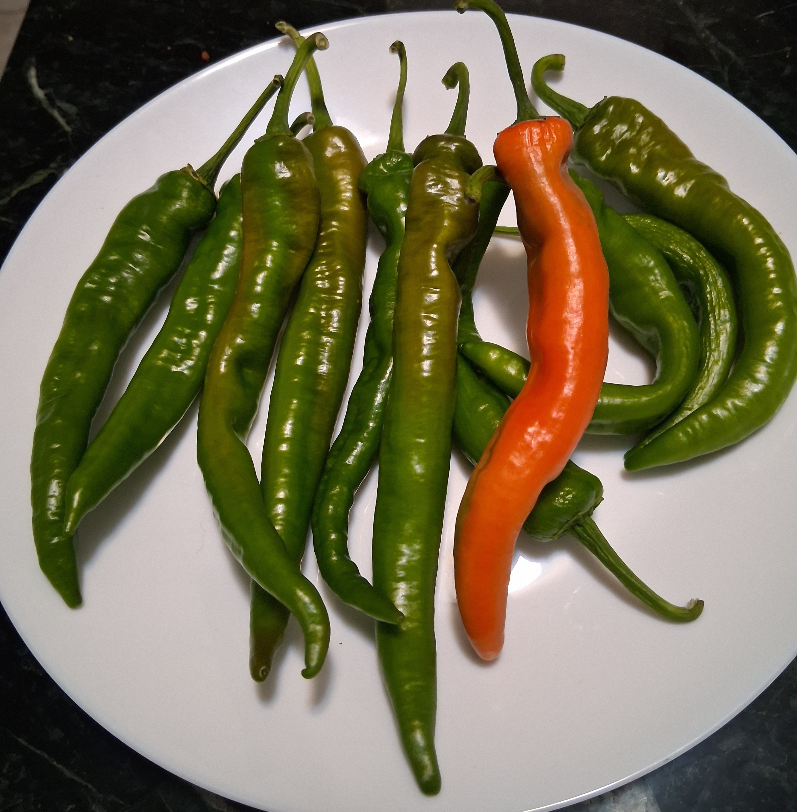 Heat Squadron Pepper Blend Seasoning